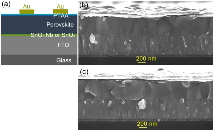 Deposición de capa atómica (ALD) para preparar una capa de transporte de electrones (ETL) de SnO₂ dopada con niobio altamente transparente para células solares de perovskita eficientes